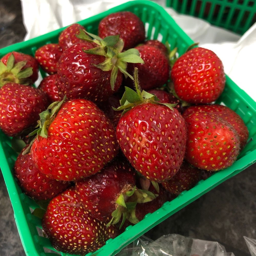 Meet your Posher, Niki